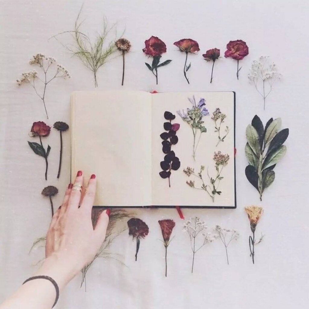 Comment Faire Secher Les Fleurs