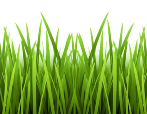 Comment faire le gazon
