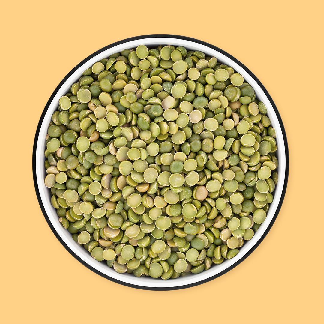 Les secrets d’un semis réussi pour des lentilles plein de saveurs