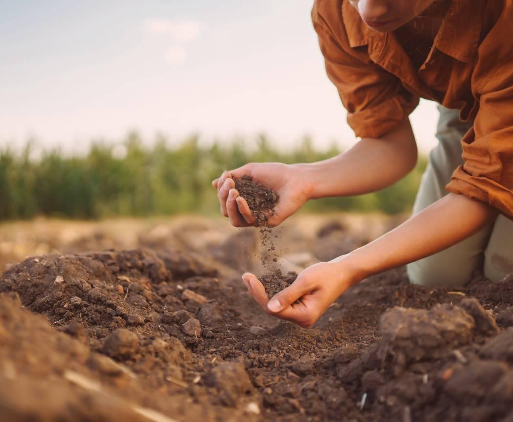 Comment faire un purin d’ortie