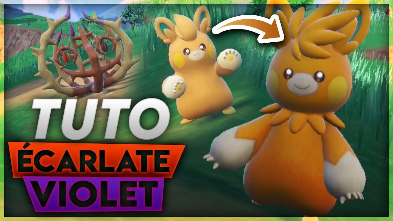 Comment faire évoluer pohmotte