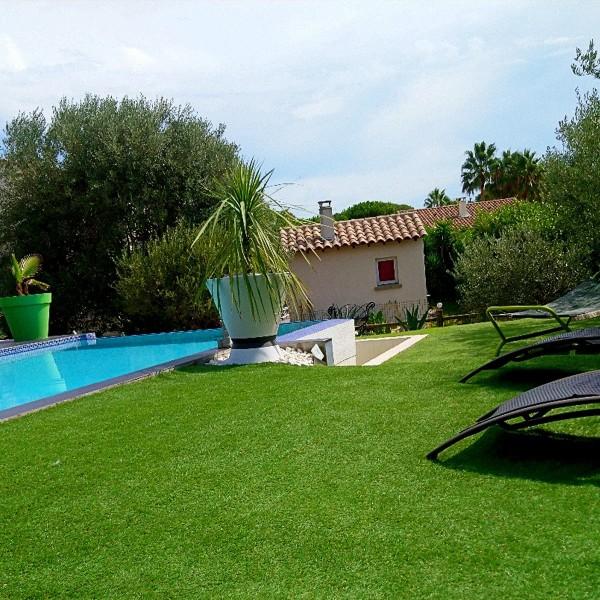 Saison après saison : adapter vos soins pour un gazon éblouissant