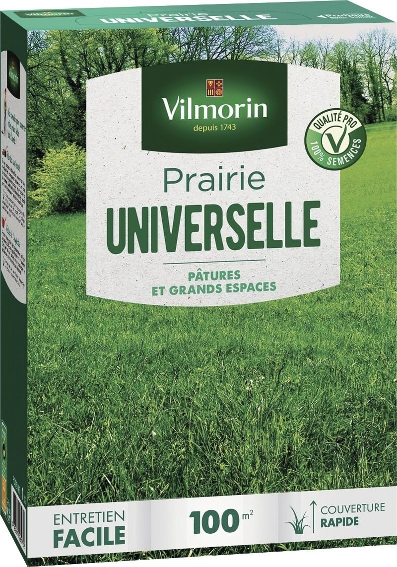 Choisir les bonnes graines pour un tapis vert réussi