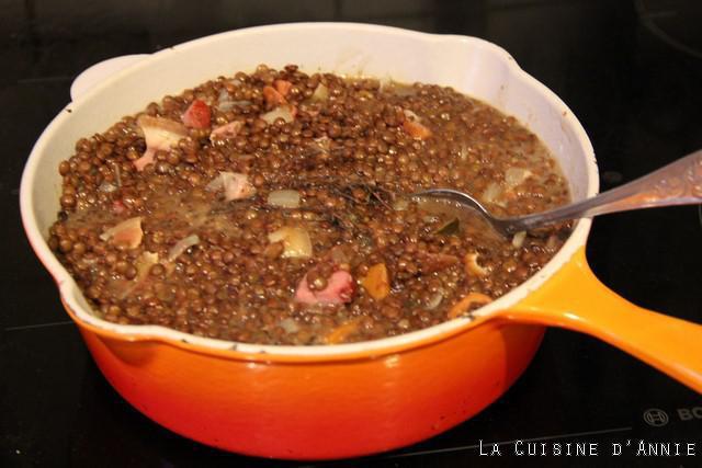 Des recettes délicieuses avec vos lentilles maison pour régaler vos papilles