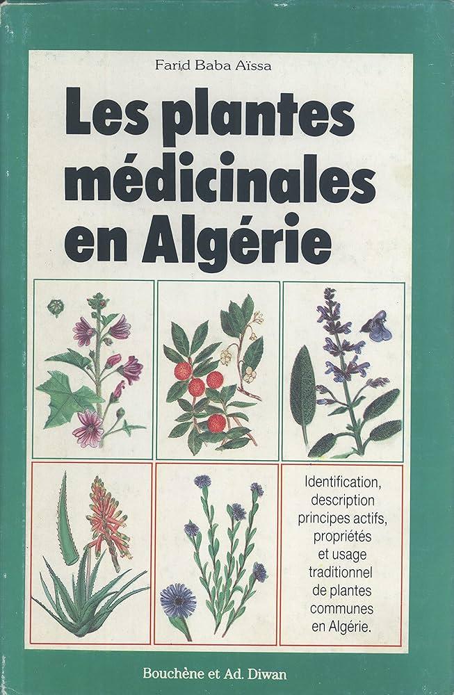 La puissance des plantes : Recettes naturelles pour soulager la tension oculaire