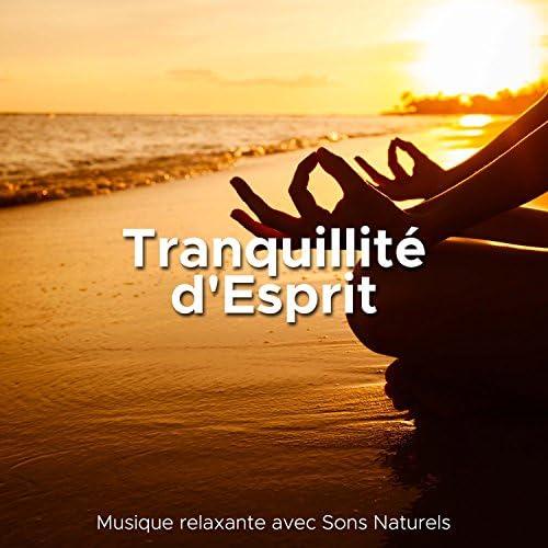 Favoriser la tranquillité : astuces à long terme pour un foyer harmonieux