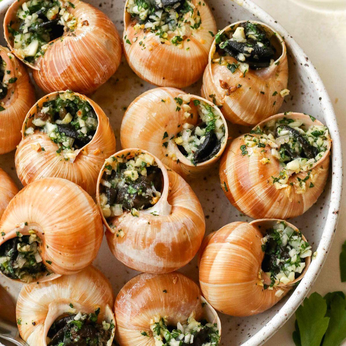 Comment faire jeuner des escargots