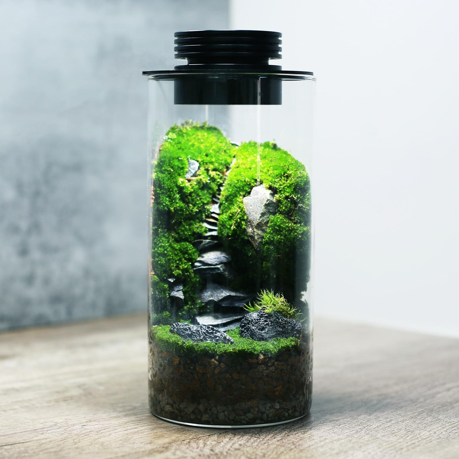 Comment faire un terrarium