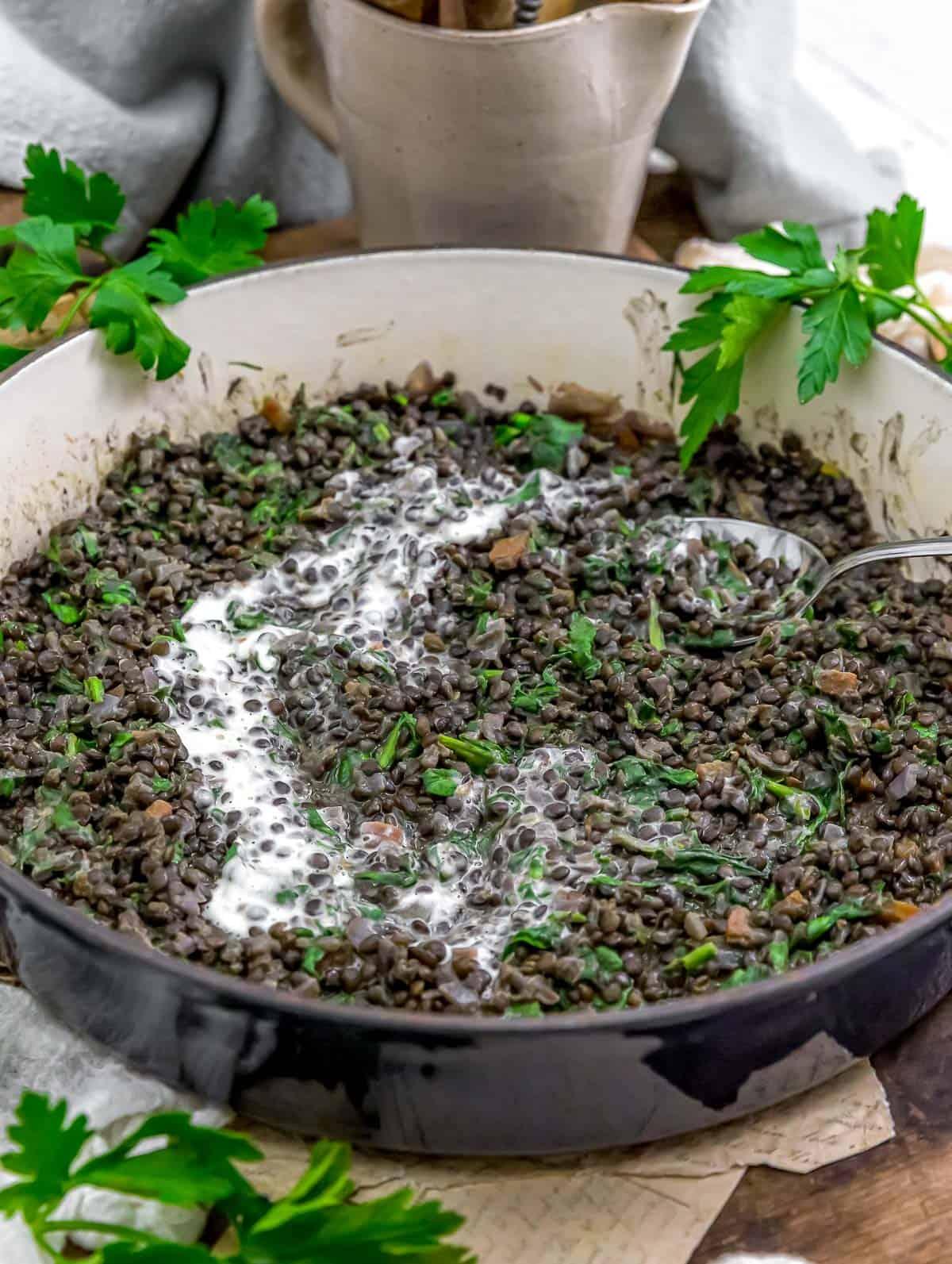 L’entretien des lentilles : le guide pour des plantes en santé