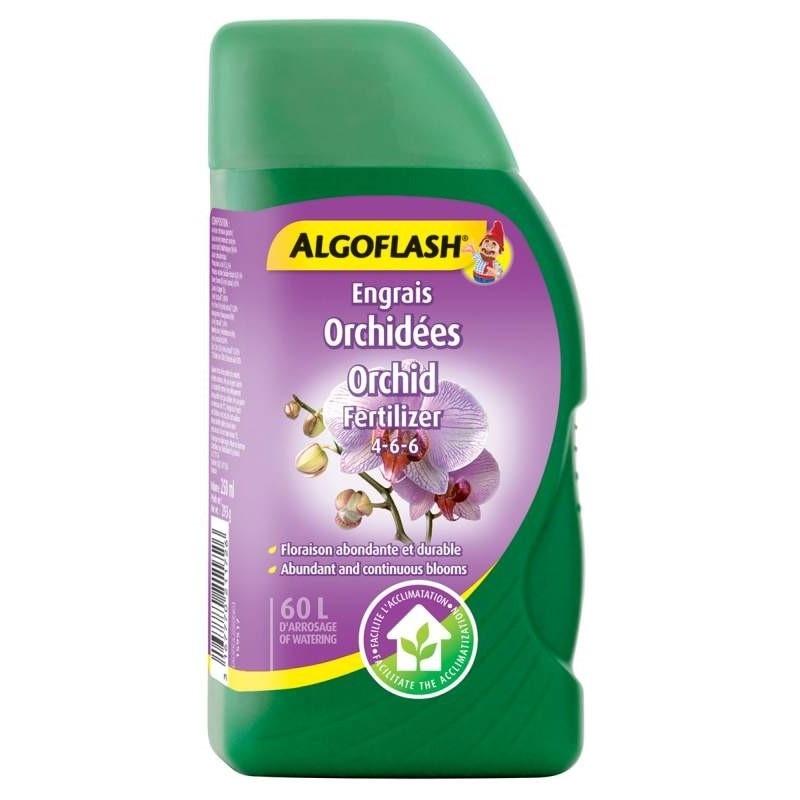 Nourrir le potentiel ⁣: Les engrais ‌qui feront fleurir votre⁢ orchidée à⁣ nouveau