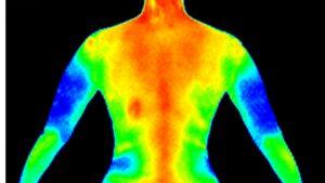 Adopter une approche holistique pour faire évoluer votre vision artistique