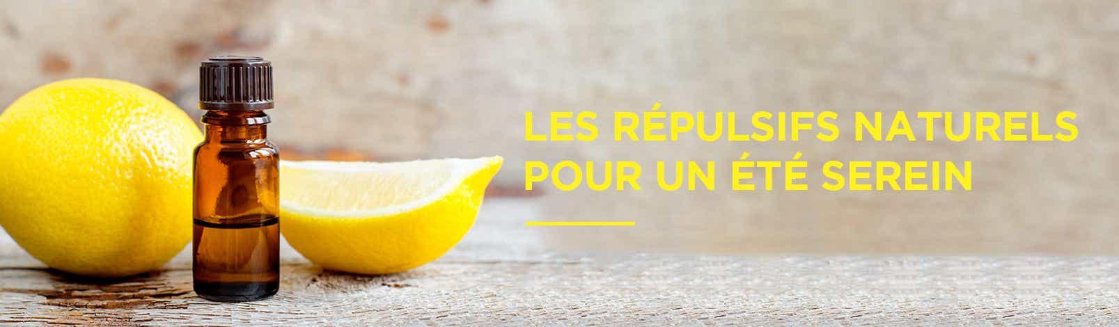 Les répulsifs naturels :​ des alliés contre ces intruses⁢ volantes