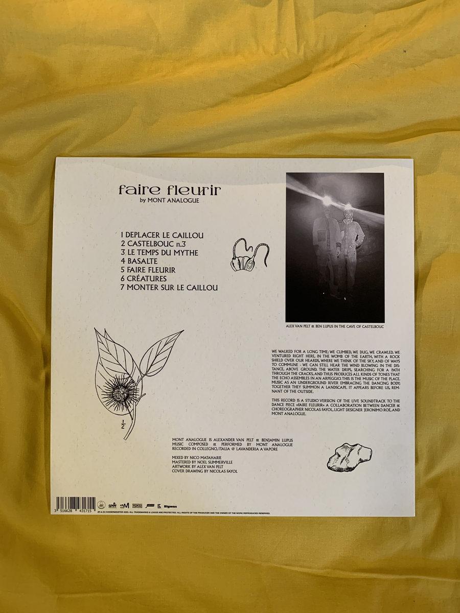 Comment faire fleurir les agapanthes