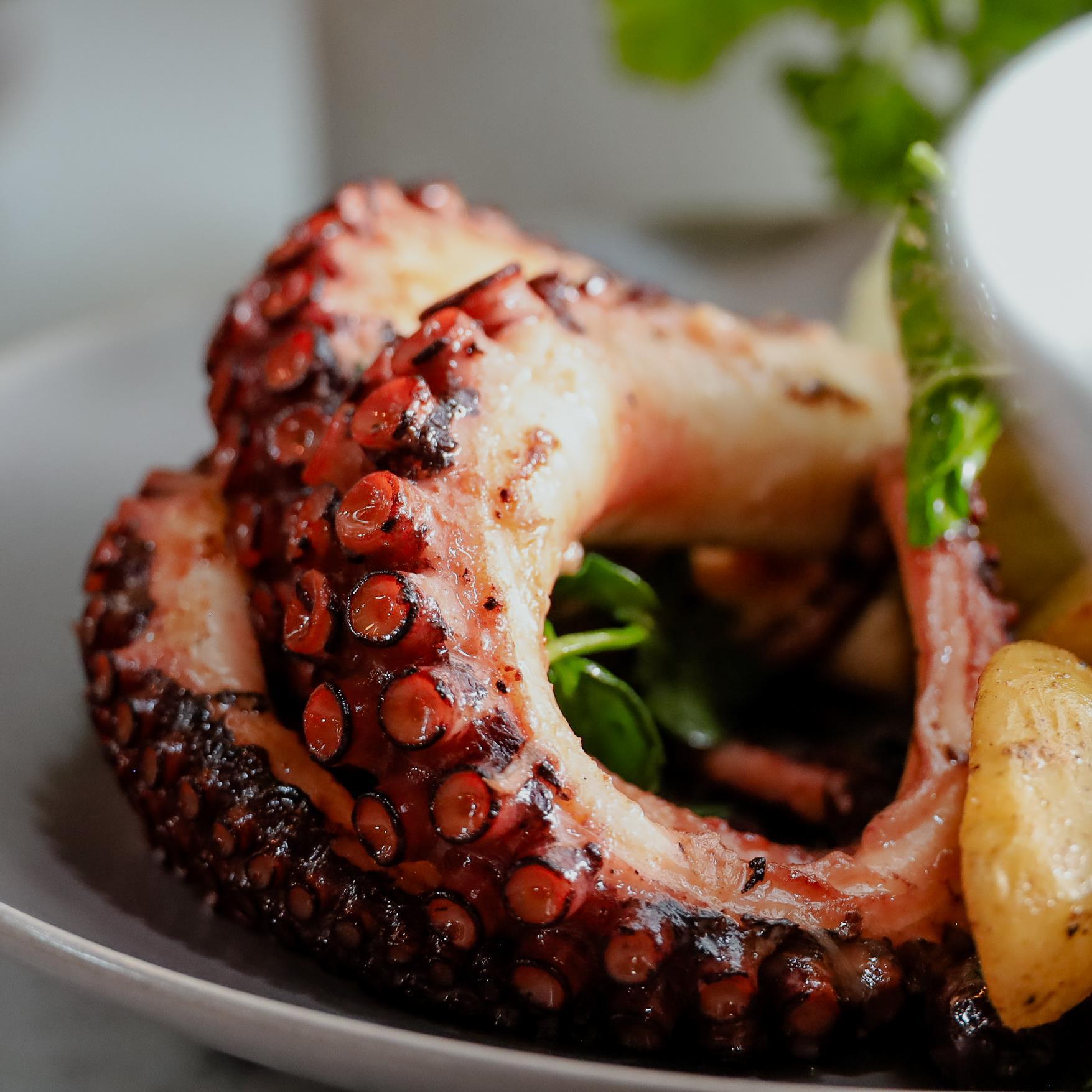 Comment faire cuire le poulpe