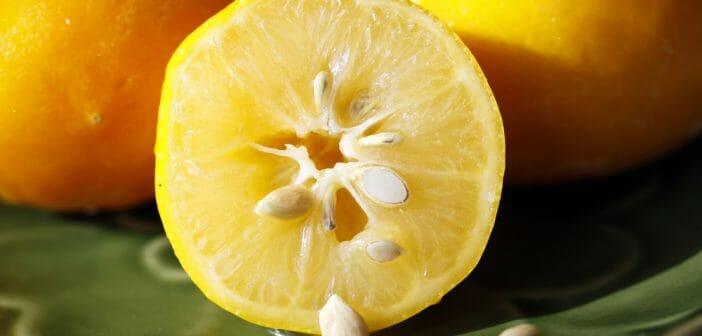 Video Comment Faire Poucer Des Pepins De Pommes