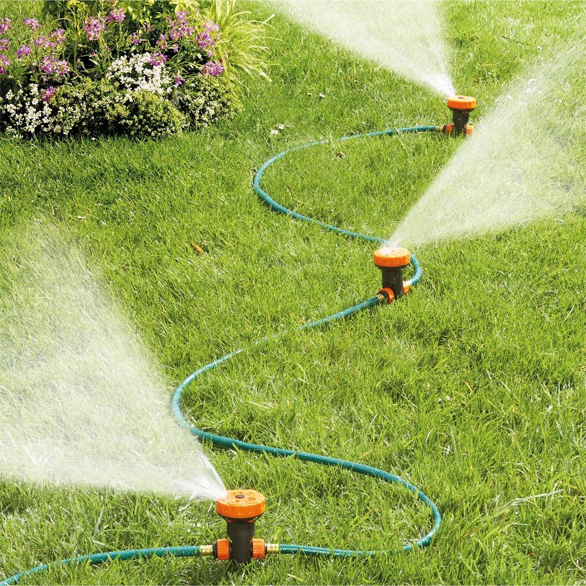 La magie de larrosage : quelles sont les besoins hydriques ?