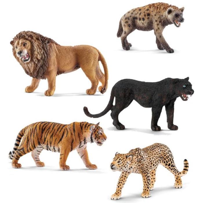 Créer un environnement moins attrayant pour les félins