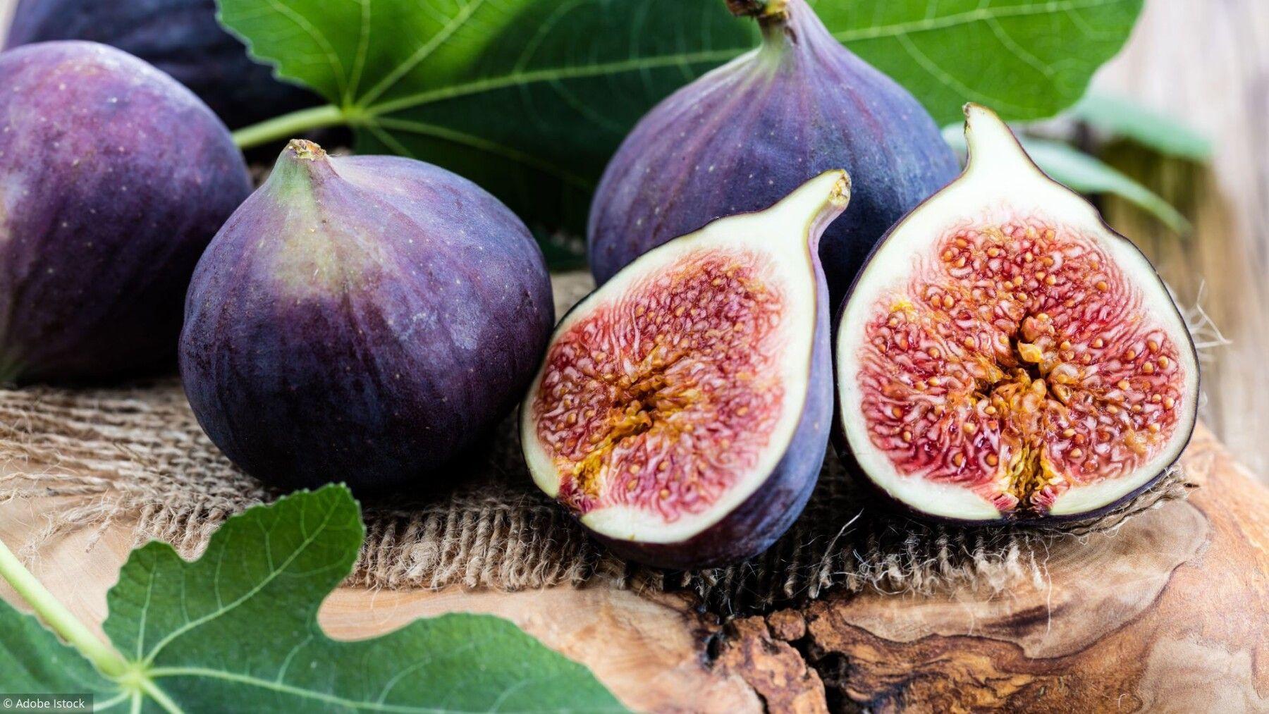 Comment faire des boutures de figuier