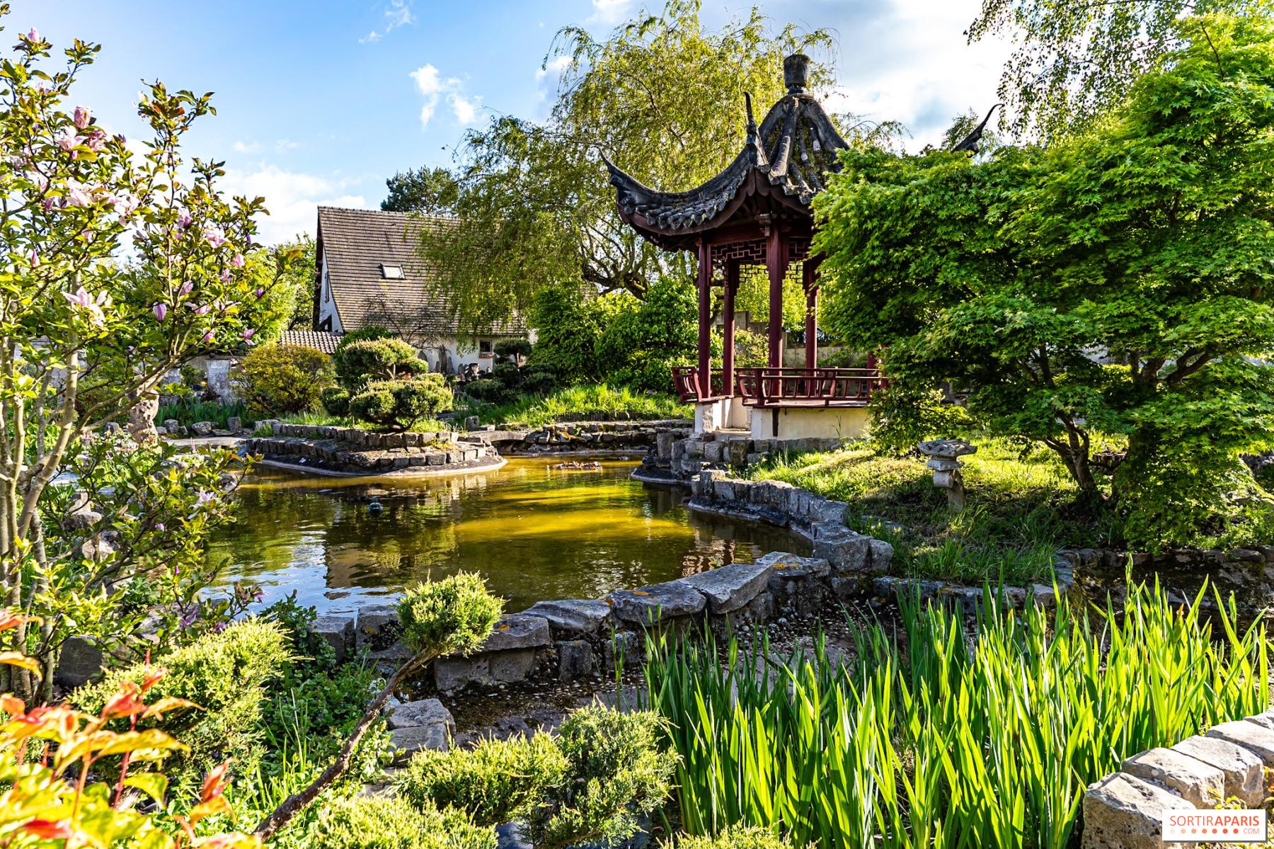 Aménager votre⁤ jardin pour⁤ dissuader​ les guêpes