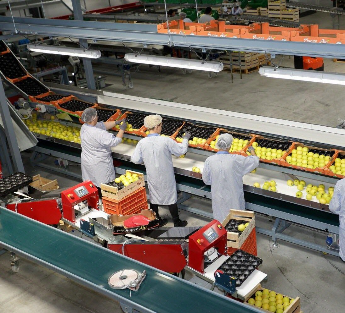 Le⁢ conditionnement parfait pour préserver vos créations