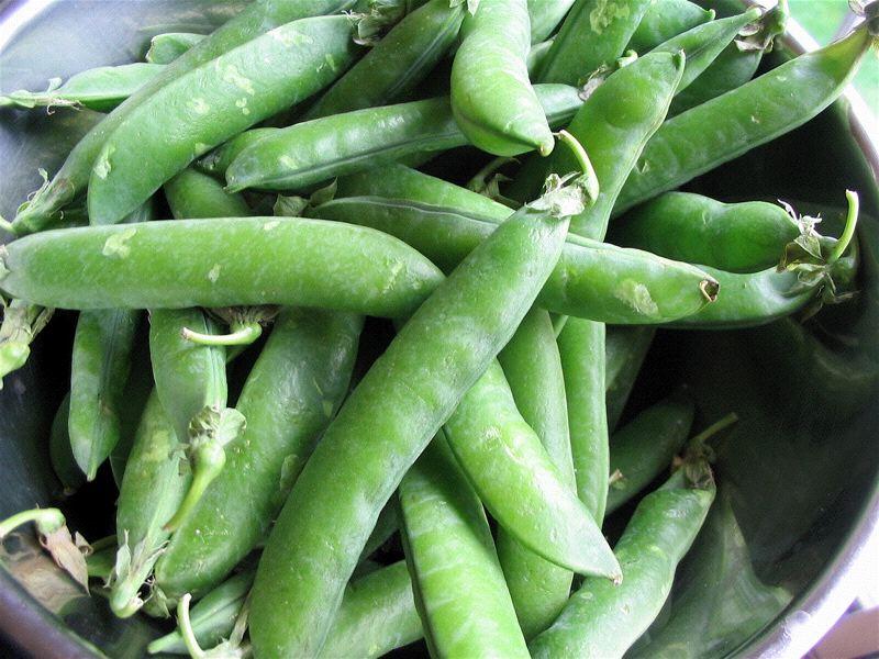 Comment faire cuire des petits pois frais