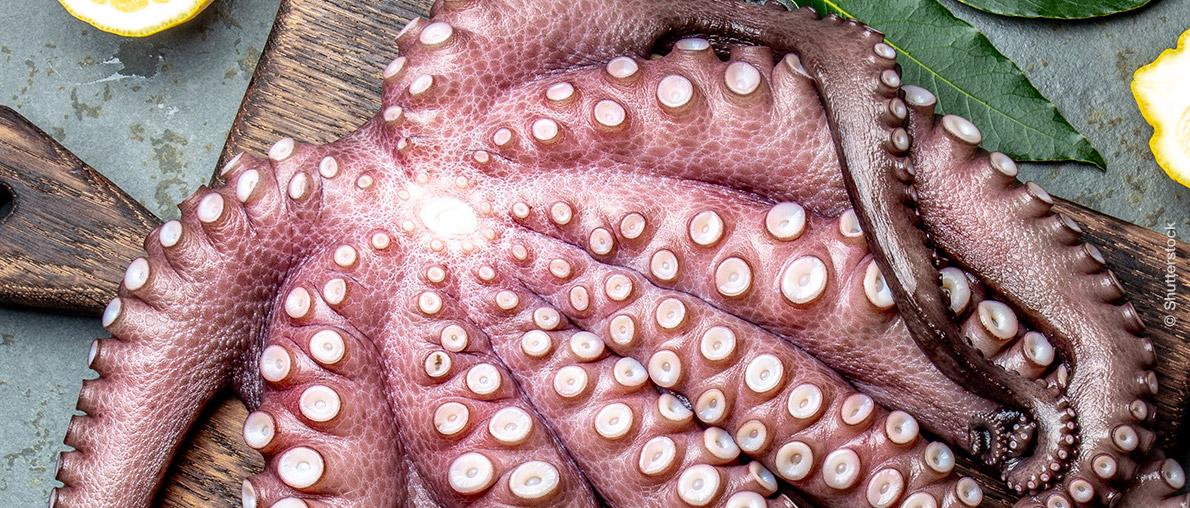 Préparer le poulpe : astuces ⁢pour une cuisson réussie