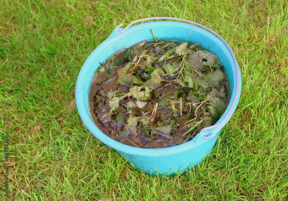 Les Bienfaits Surprenants du Purin dOrtie