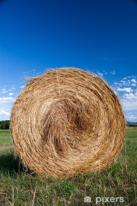 Comment faire les foins