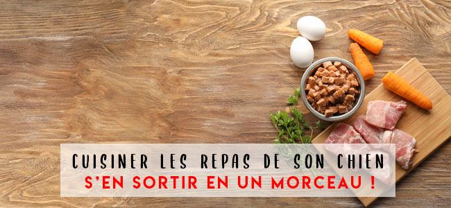 Des recettes‌ maison délicieuses pour un appétit retrouvé