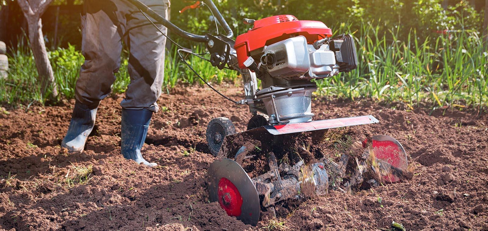 Préparer le terrain : Créer un environnement confortable et sécurisé