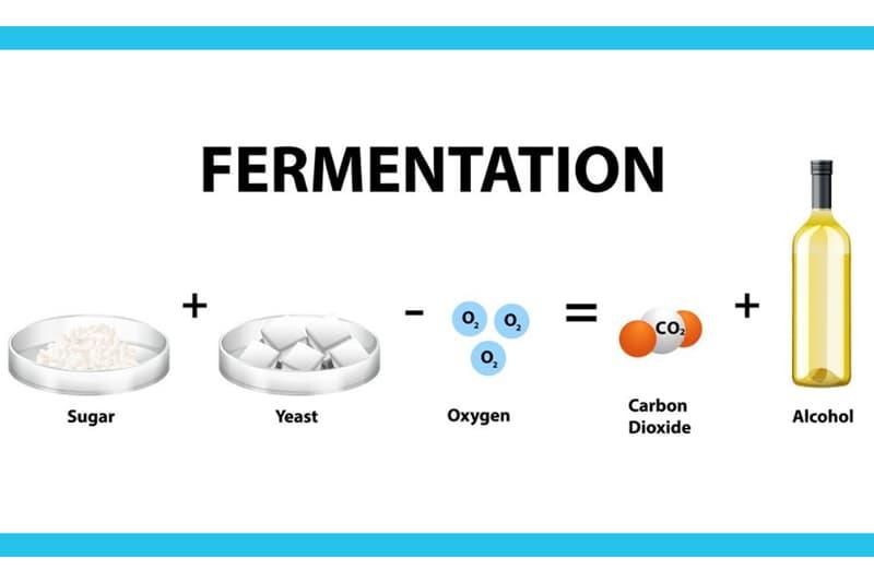 Lart‍ de la fermentation :‌ étapes et​ astuces