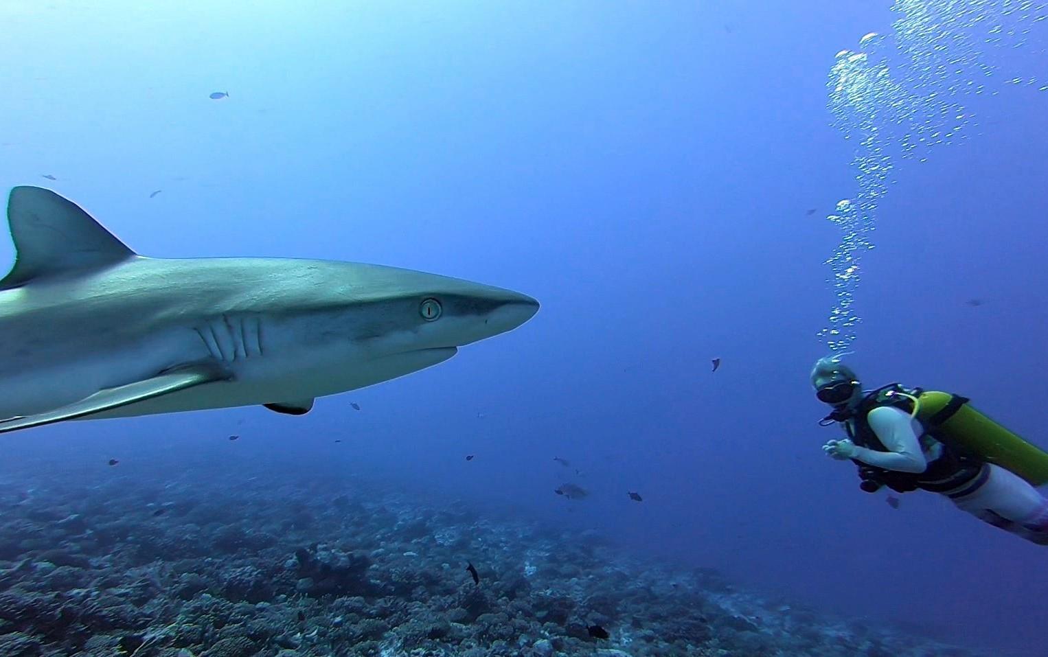 Plongée dans votre passé : techniques pour évoquer vos souvenirs
