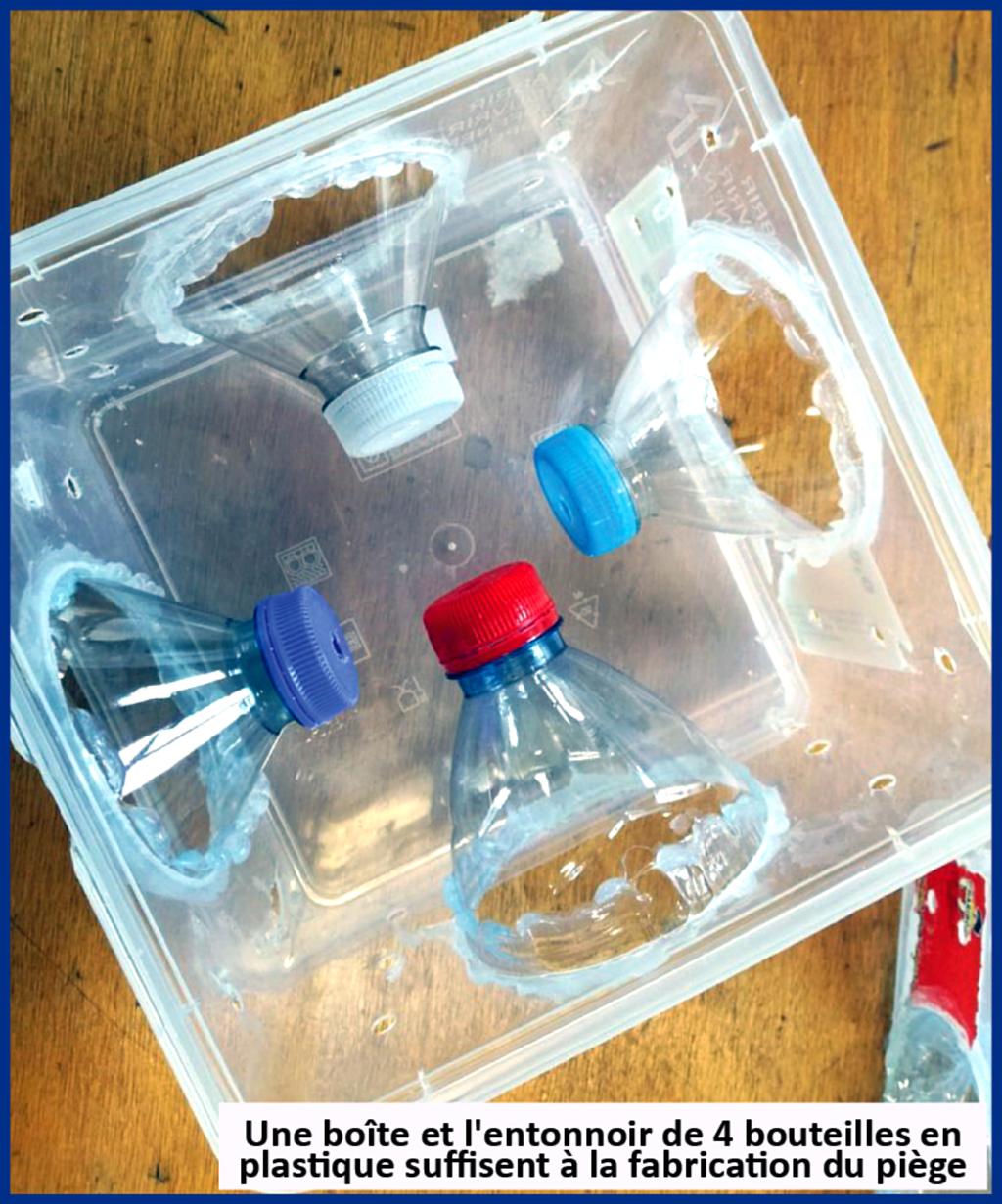 Comment faire un piege a guepe