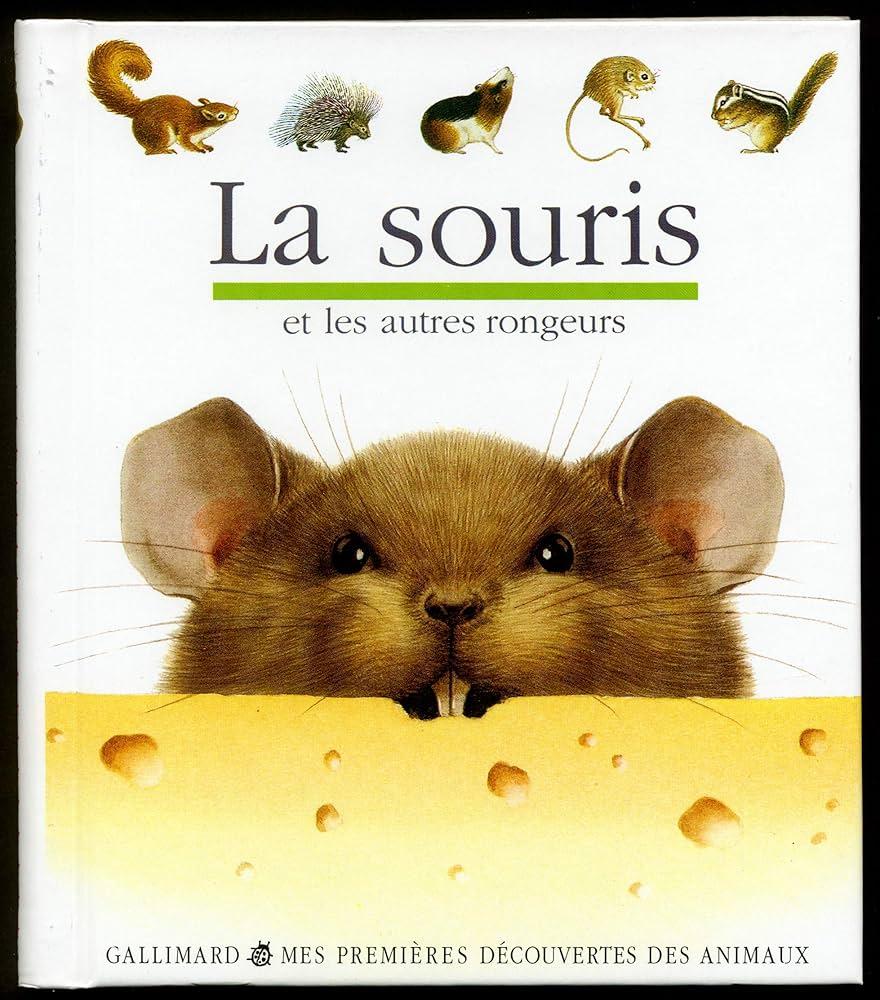 Comment faire fuir une souris