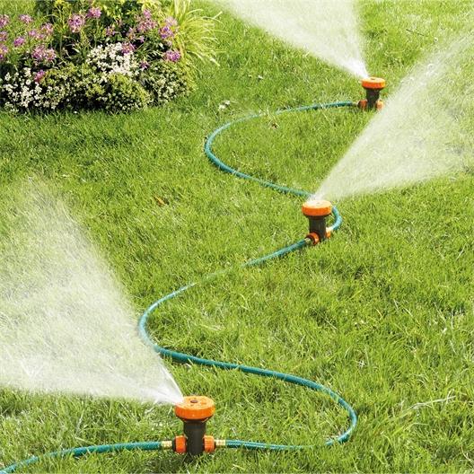 Lart de larrosage : entre excès et manque, trouvez léquilibre