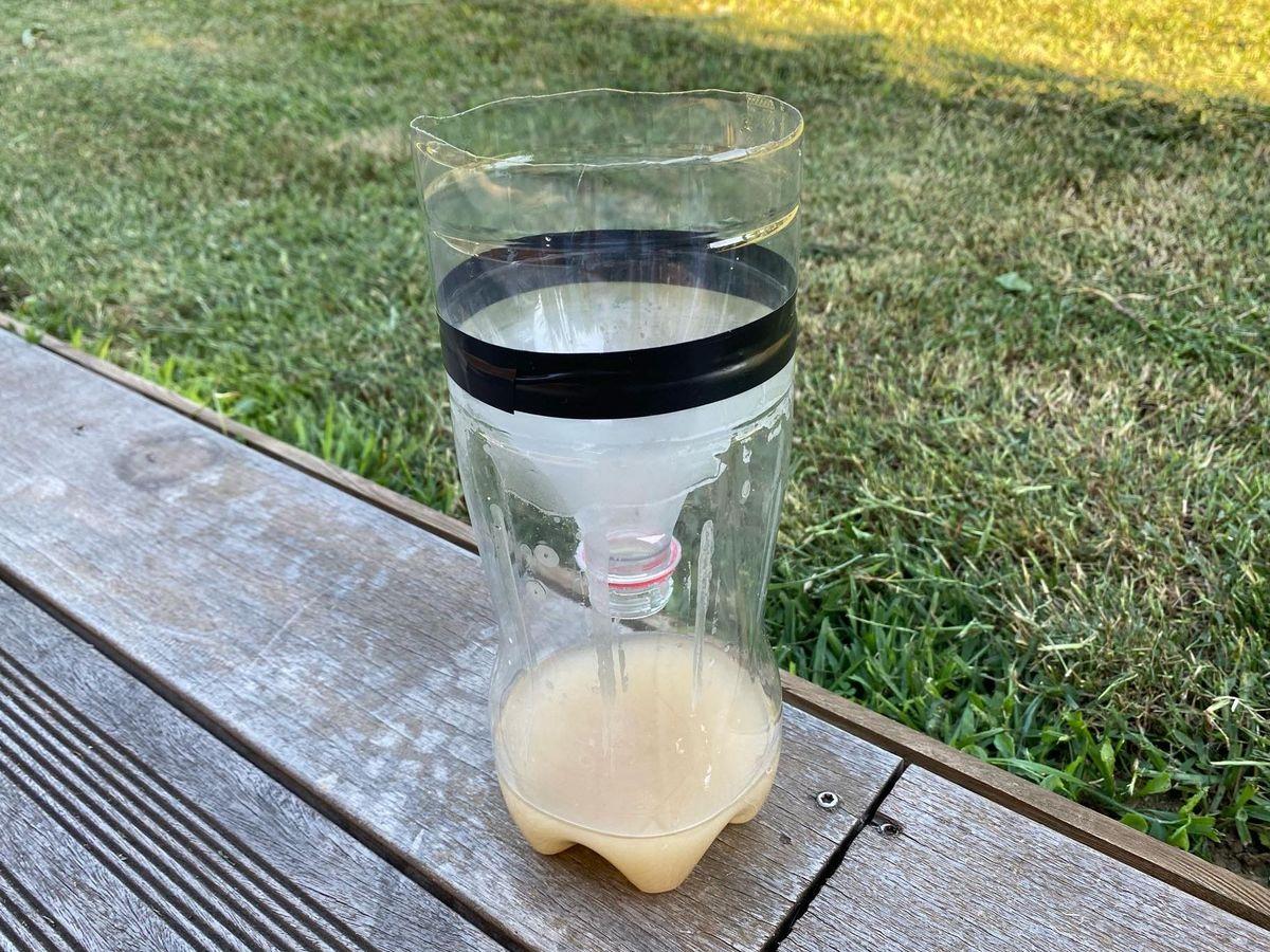 Comment faire un piège à moustique - On Fait Comment