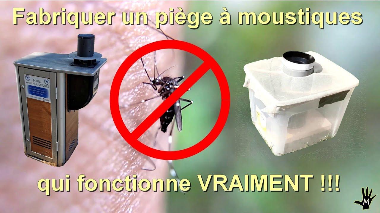 Comment Faire Un Piège à Moustique Maison
