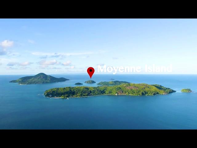 Pourquoi la Moyenne est-elle Importante pour Ton Parcours Scolaire