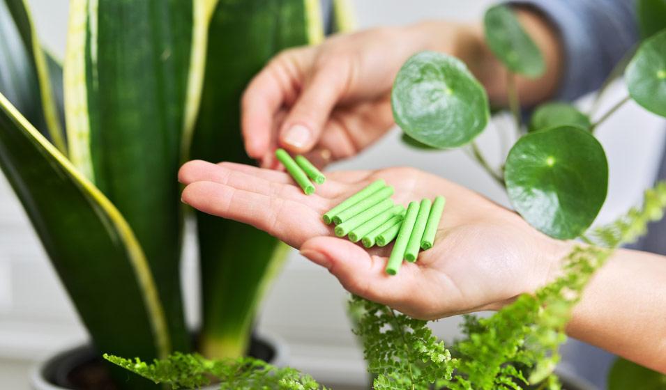 Nourrir avec amour : choisir⁢ le ​bon engrais ‌pour relancer la croissance