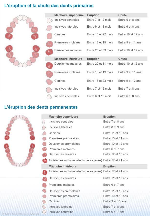 Les bonnes pratiques pour encourager la chute ⁣en douceur