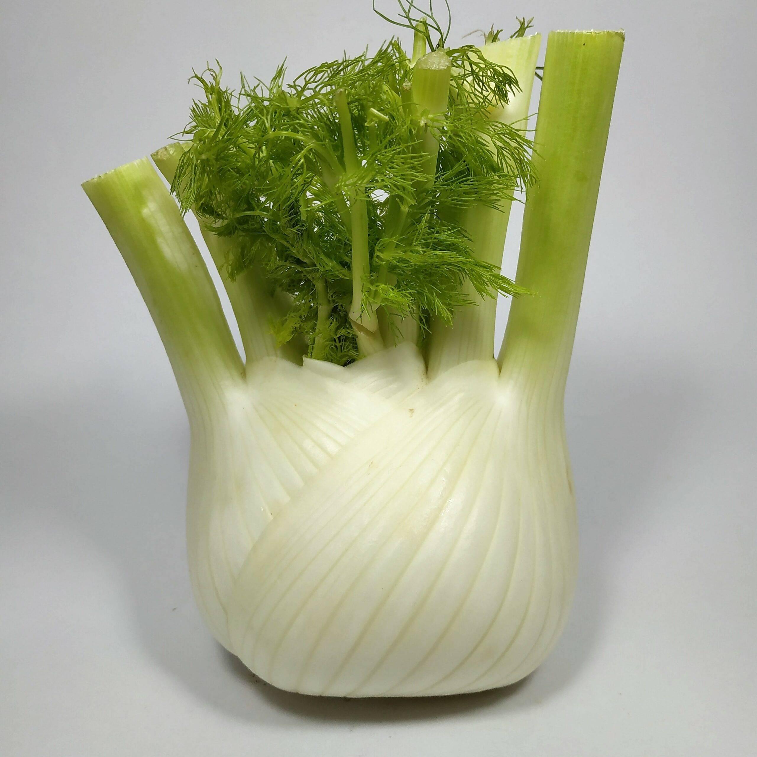 Préparer le fenouil : conseils pratiques​ pour‌ débutants