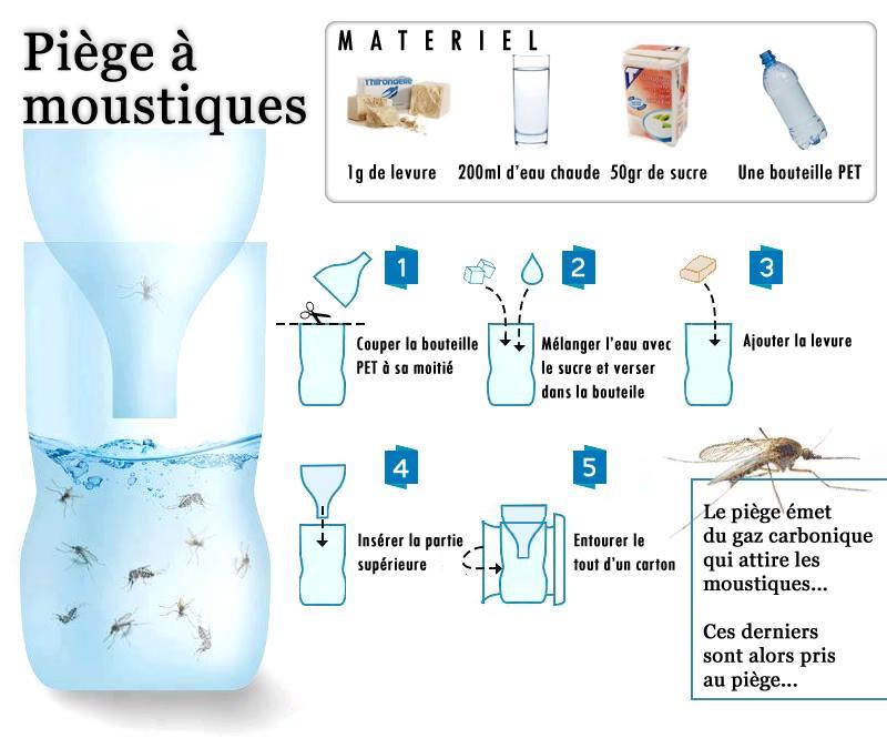 Comment faire un piège à moustique - On Fait Comment
