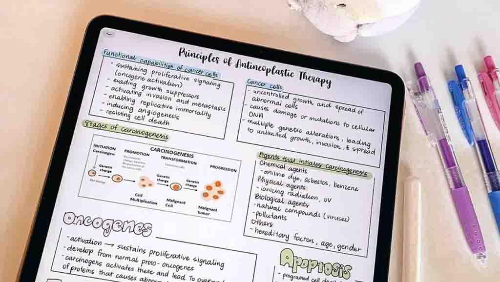 Lart de la révision : Pourquoi les fiches sont vos meilleures alliées