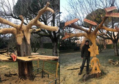 Comment‍ faire sécher un arbre sur pied