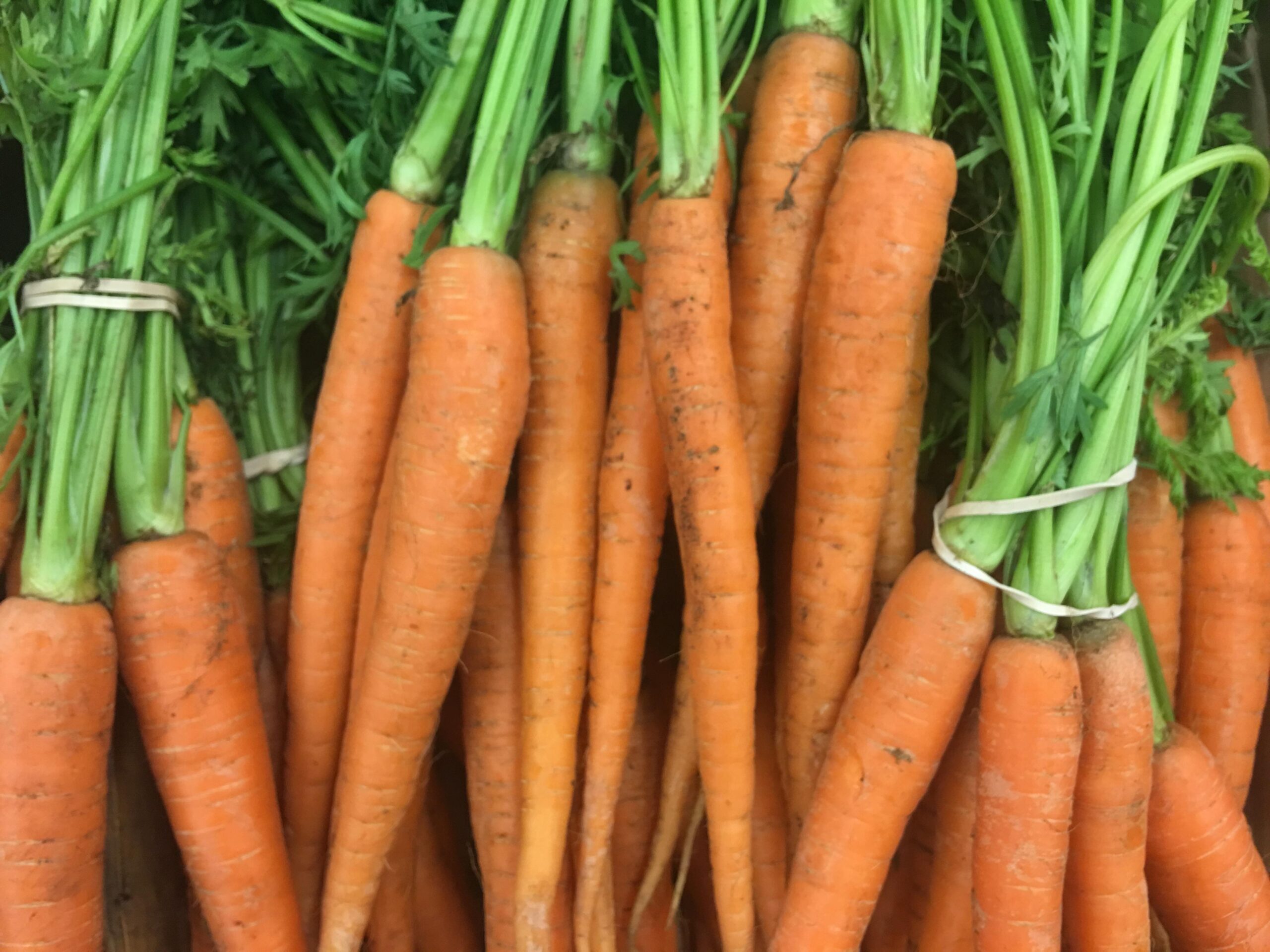 Comment faire cuire des carottes