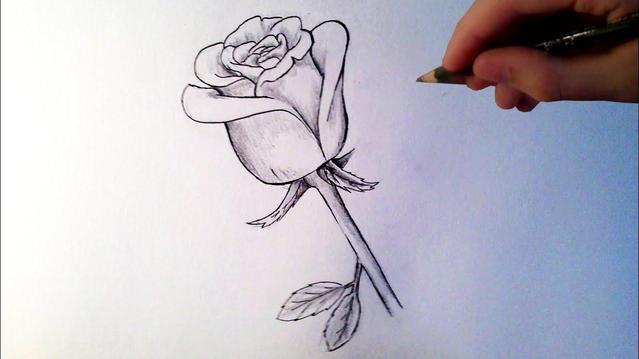 Comment faire une rose en dessin