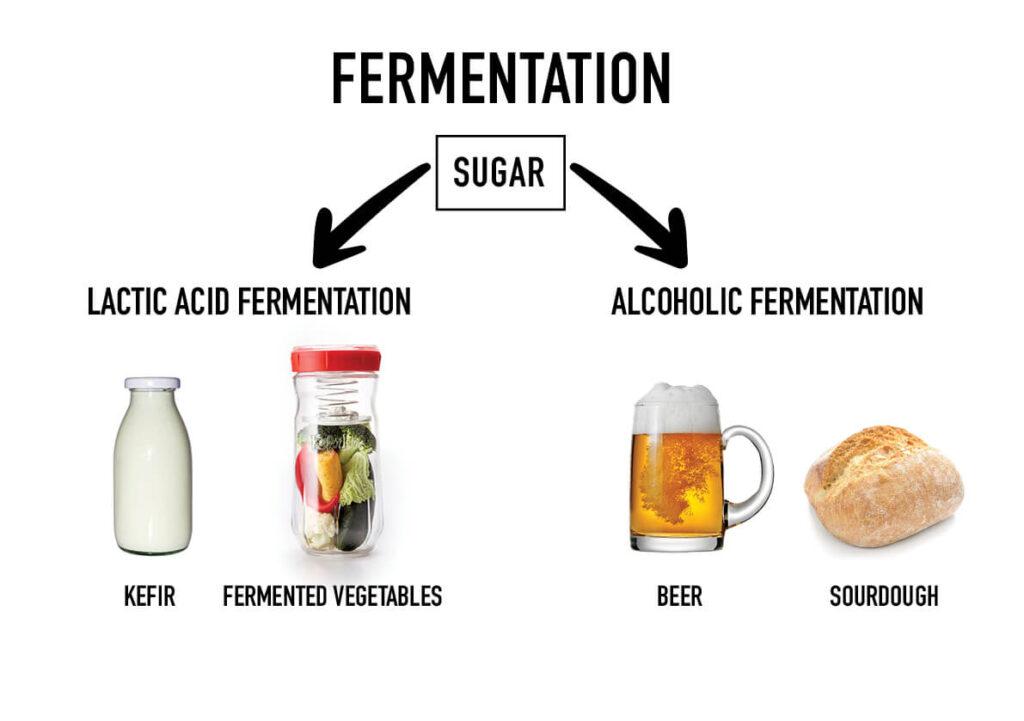 La magie de la fermentation : étape par étape