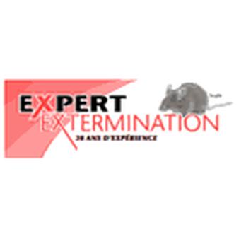 Quand faire appel à des experts : Savoir quand demander de laide