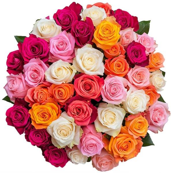 Les secrets pour choisir les roses parfaites à sécher