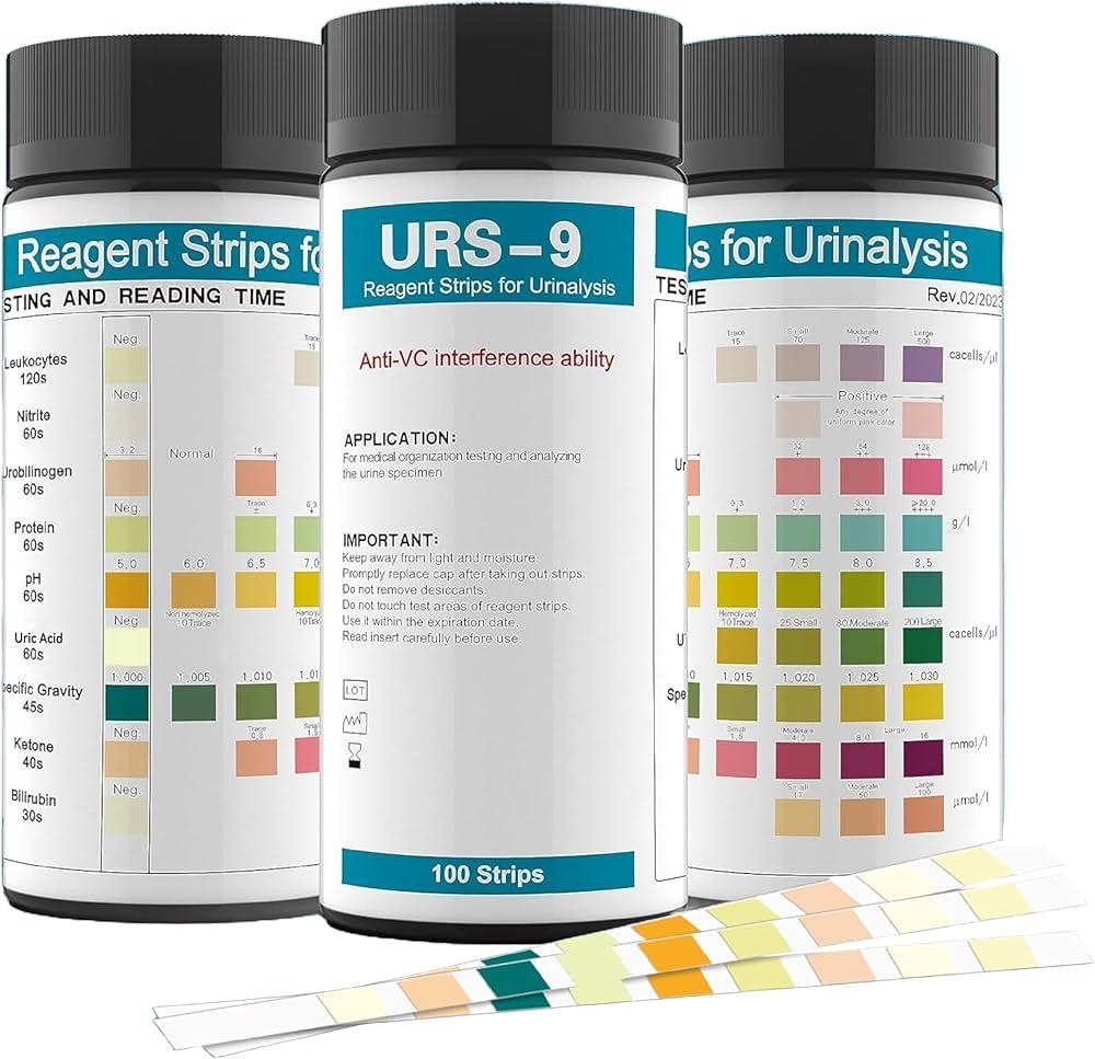 Que faire après le test : attentes et prochaines étapes